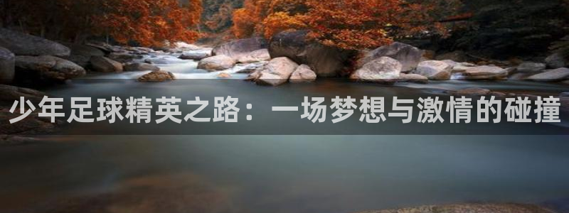  少年足球精英之路：一场梦想与激情的碰撞