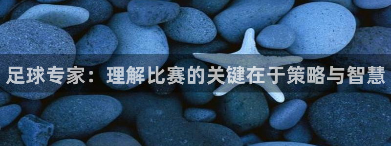  足球专家：理解比赛的关键在于策略与智慧