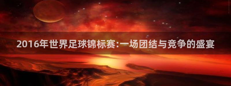 2016年世界足球锦标赛:一场团结与竞争的盛宴