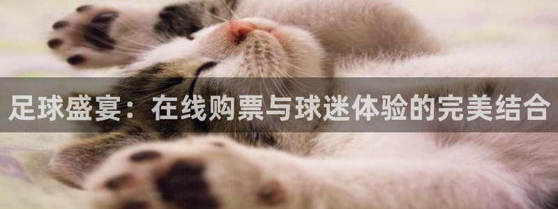 足球盛宴：在线购票与球迷体验的完美结合