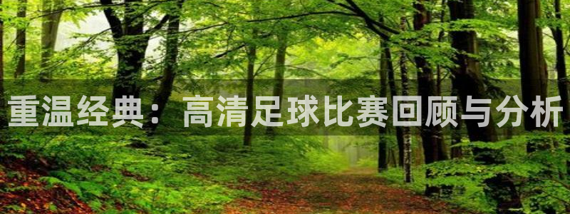  重温经典：高清足球比赛回顾与分析