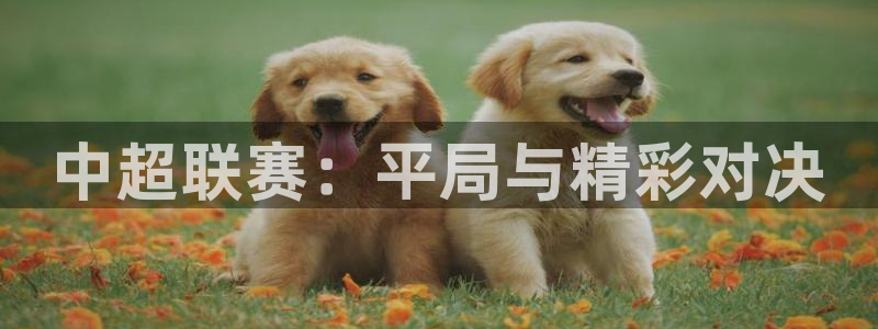 中超联赛：平局与精彩对决
