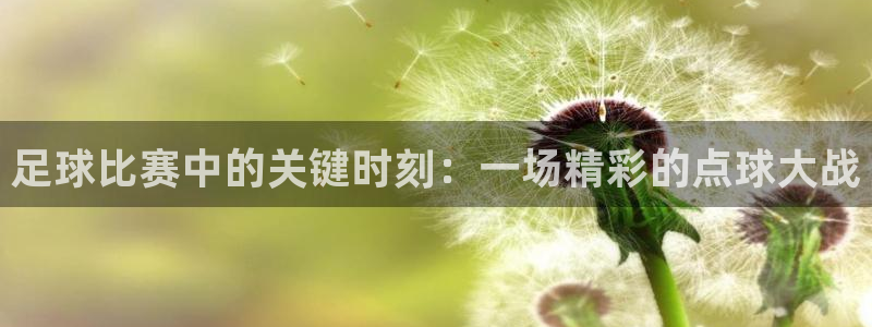  足球比赛中的关键时刻：一场精彩的点球大战