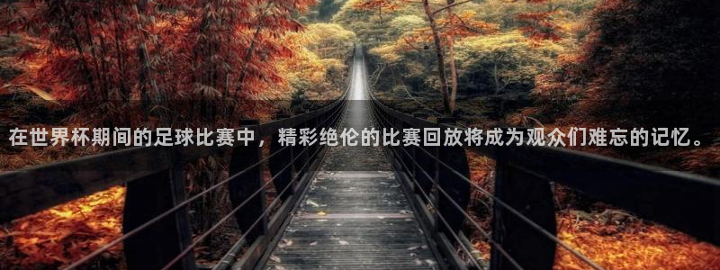 在世界杯期间的足球比赛中，精彩绝伦的比赛回放将成为观众们难忘
