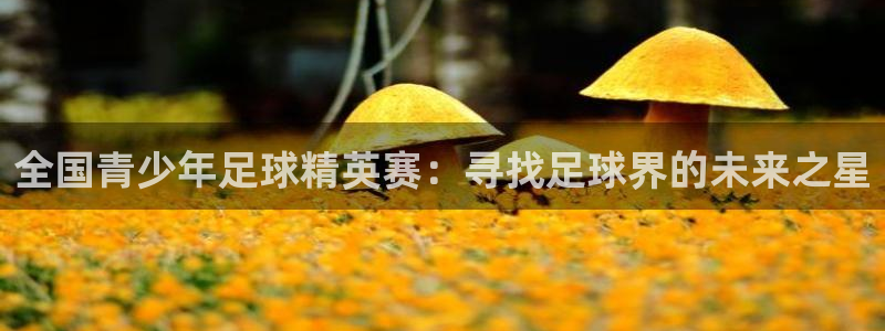  全国青少年足球精英赛：寻找足球界的未来之星