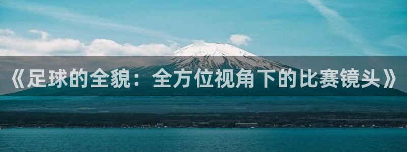 《足球的全貌：全方位视角下的比赛镜头》