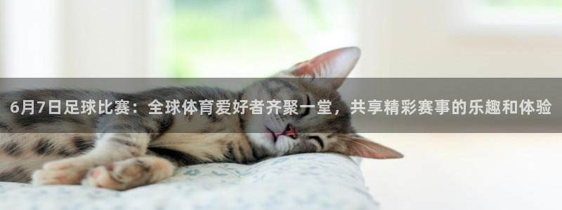 6月7日足球比赛：全球体育爱好者齐聚一堂，共享精彩赛事的乐趣