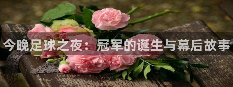  今晚足球之夜：冠军的诞生与幕后故事