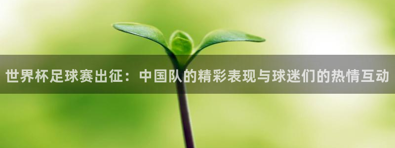 世界杯足球赛出征：中国队的精彩表现与球迷们的热情互动