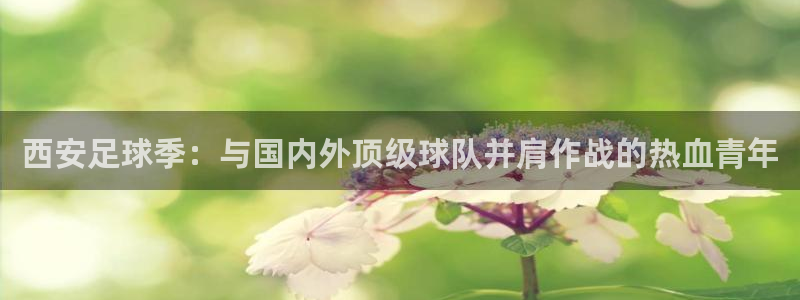 西安足球季：与国内外顶级球队并肩作战的热血青年