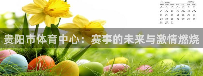贵阳市体育中心：赛事的未来与激情燃烧