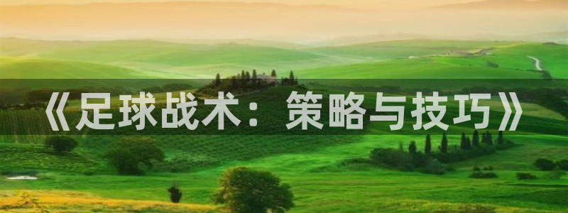 《足球战术：策略与技巧》