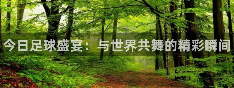  今日足球盛宴：与世界共舞的精彩瞬间