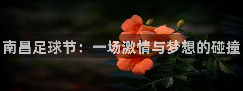  南昌足球节：一场激情与梦想的碰撞