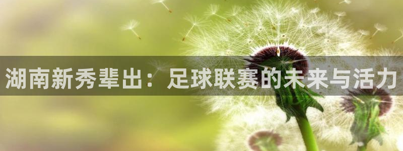  湖南新秀辈出：足球联赛的未来与活力