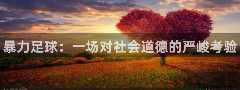 暴力足球：一场对社会道德的严峻考验