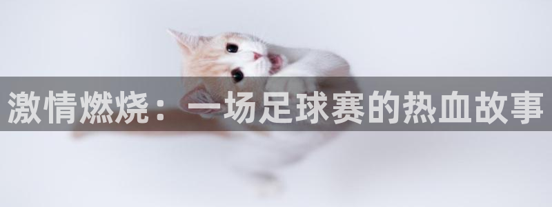 激情燃烧：一场足球赛的热血故事