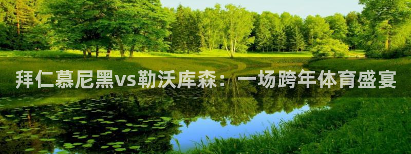 玩球直播nba直播在线直播：拜仁慕尼黑vs勒沃库森：一场跨年体育盛宴