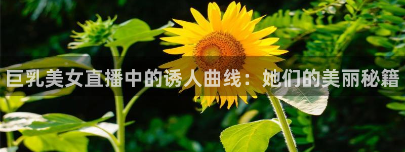 玩球直播官网nba直播：巨乳美女直播中的诱人曲线：她们的美丽秘籍