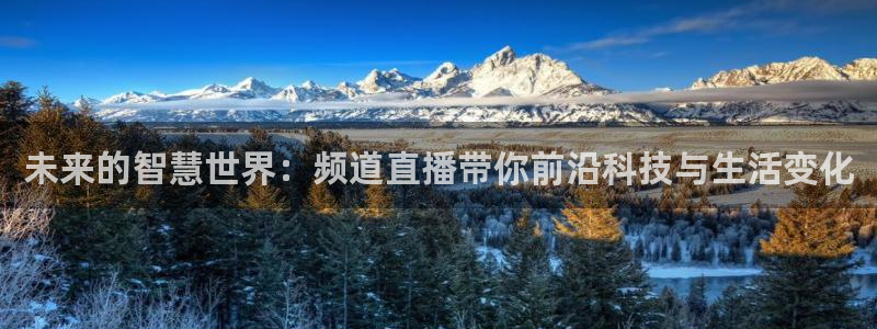 nba玩球直播：未来的智慧世界：频道直播带你前沿科技与生活变化