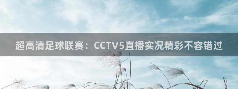 玩球直播app苹果：超高清足球联赛：CCTV5直播实况精彩不容错过
