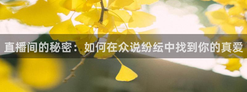 玩球直播wqzb