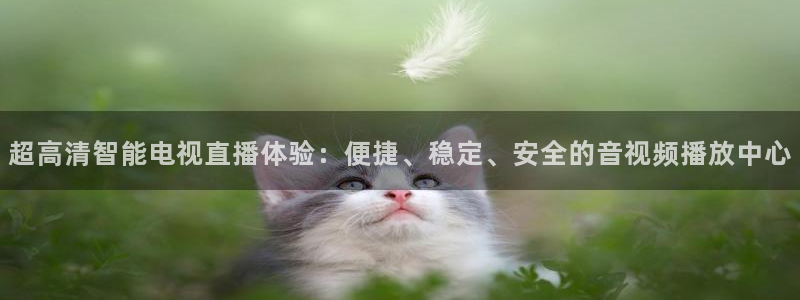 玩球体育app下载