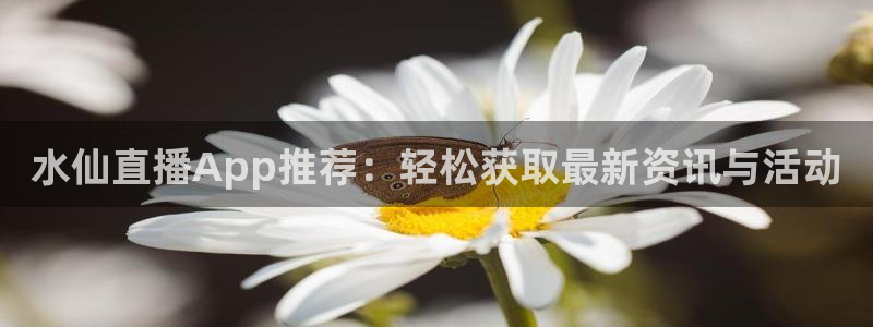 玩球直播 官网