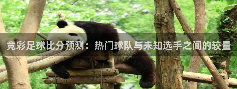 玩球体育app下载：竞彩足球比分预测：热门球队与未知选手之间的较量